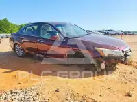 2011 Honda Accord photo