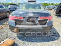 2011 Honda Accord photo