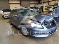 2011 Honda Accord photo