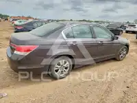 2011 Honda Accord фото