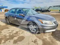 2011 Honda Accord photo