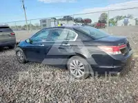 2011 Honda Accord photo
