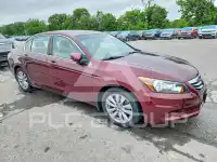 2011 Honda Accord photo