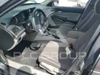2011 Honda Accord photo