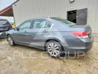 2011 Honda Accord photo