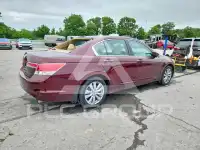 2011 Honda Accord photo
