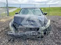 2011 Honda Accord photo