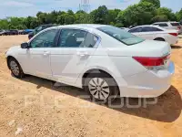 2011 Honda Accord фото