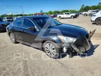 2011 Honda Accord photo