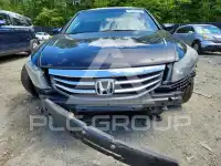 2011 Honda Accord фото