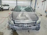 2011 Honda Accord фото