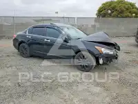2011 Honda Accord photo