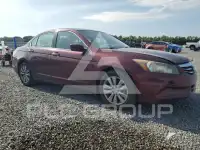 2011 Honda Accord фото