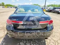 2011 Honda Accord фото