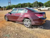 2011 Honda Accord photo