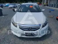 2011 Honda Accord photo