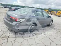 2011 Honda Accord photo