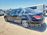 2011 Honda Accord фото