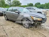 2011 Honda Accord photo