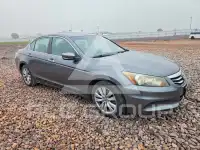 2011 Honda Accord фото
