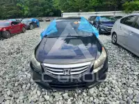 2011 Honda Accord фото