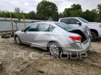 2011 Honda Accord photo