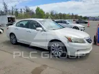 2011 Honda Accord фото