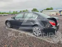 2011 Honda Accord фото
