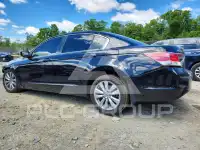 2011 Honda Accord фото