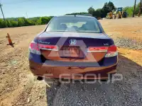 2011 Honda Accord photo