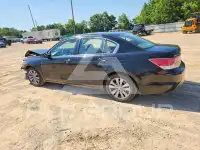 2011 Honda Accord фото