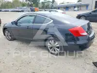 2011 Honda Accord photo