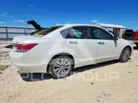 2011 Honda Accord фото