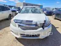 2011 Honda Accord фото