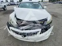 2011 Honda Accord фото