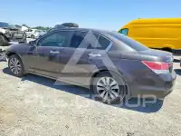 2011 Honda Accord фото