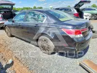 2011 Honda Accord photo