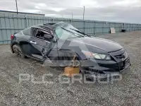 2011 Honda Accord фото