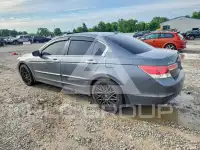 2011 Honda Accord photo
