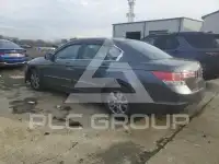 2011 Honda Accord photo