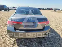 2011 Honda Accord фото