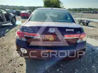 2011 Honda Accord фото