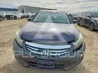 2011 Honda Accord фото