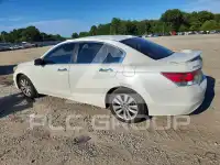 2011 Honda Accord photo