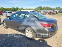 2011 Honda Accord фото