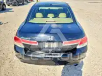 2011 Honda Accord photo