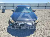 2011 Honda Accord photo