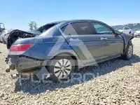 2011 Honda Accord фото