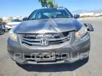 2011 Honda Accord photo