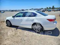 2011 Honda Accord фото